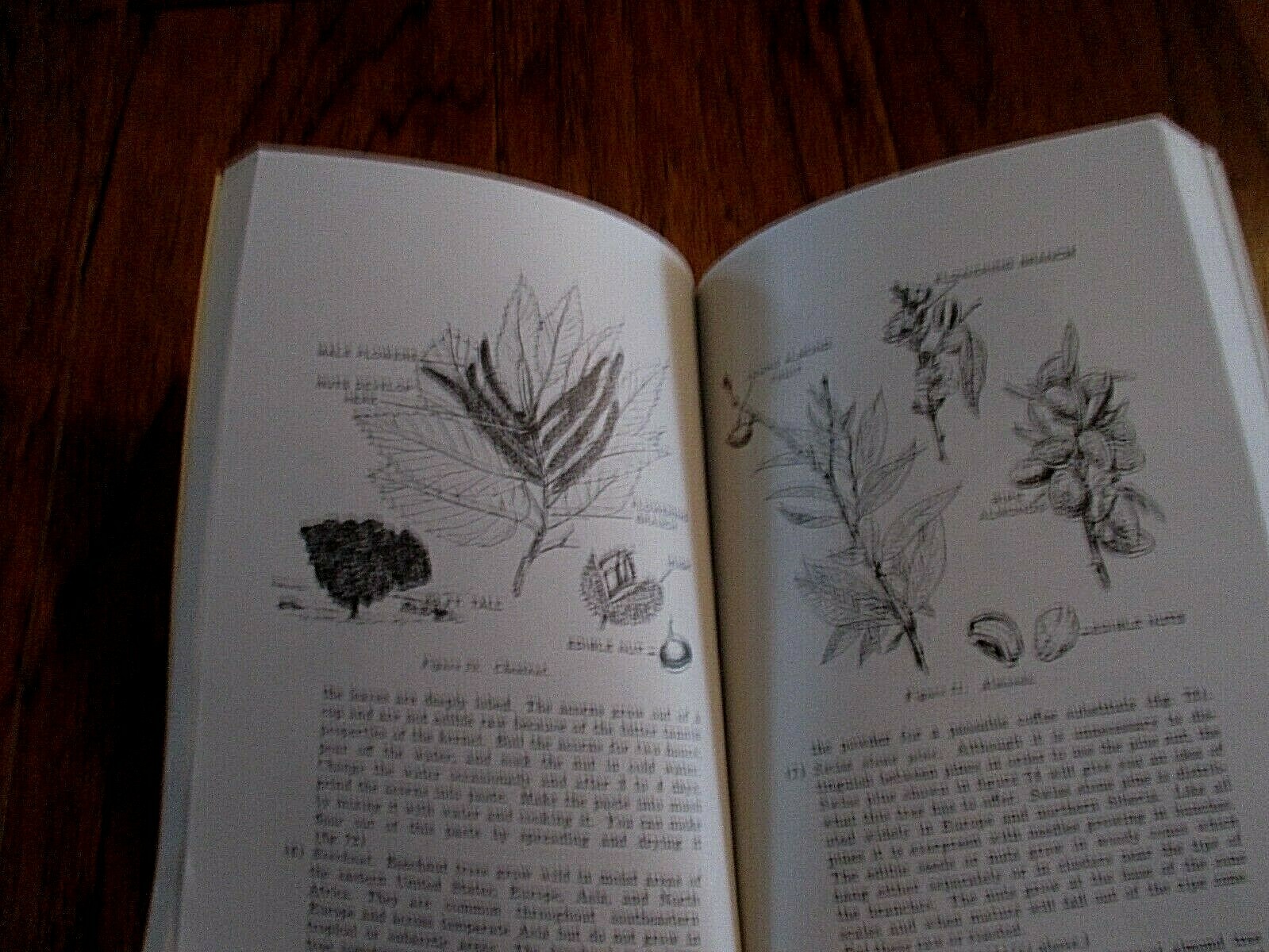 U.S ARMY SURVIVAL BOOK 21-76 ILLUSTRATED 288 PAGES SURVIVALIST GUIDE HANDBOOK