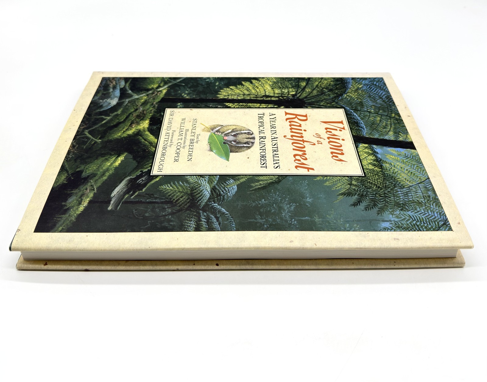 Visions of a Rainforest Breeden and Cooper HC A Year in Australia’s Tropics