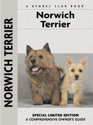 Norwich Terrier by Alice Kane: Used