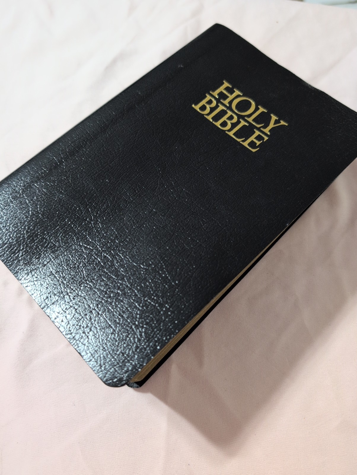 Holy Bible NIV With Helps Red Letter (2001, Faux Leather, Zondervan)
