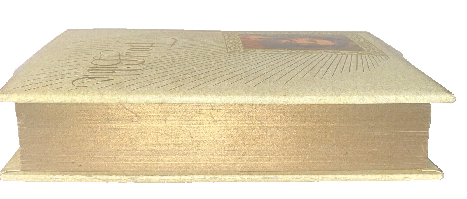 Fireside Family Edition Catholic Holy Bible King James Red Letter Edition 12 In.