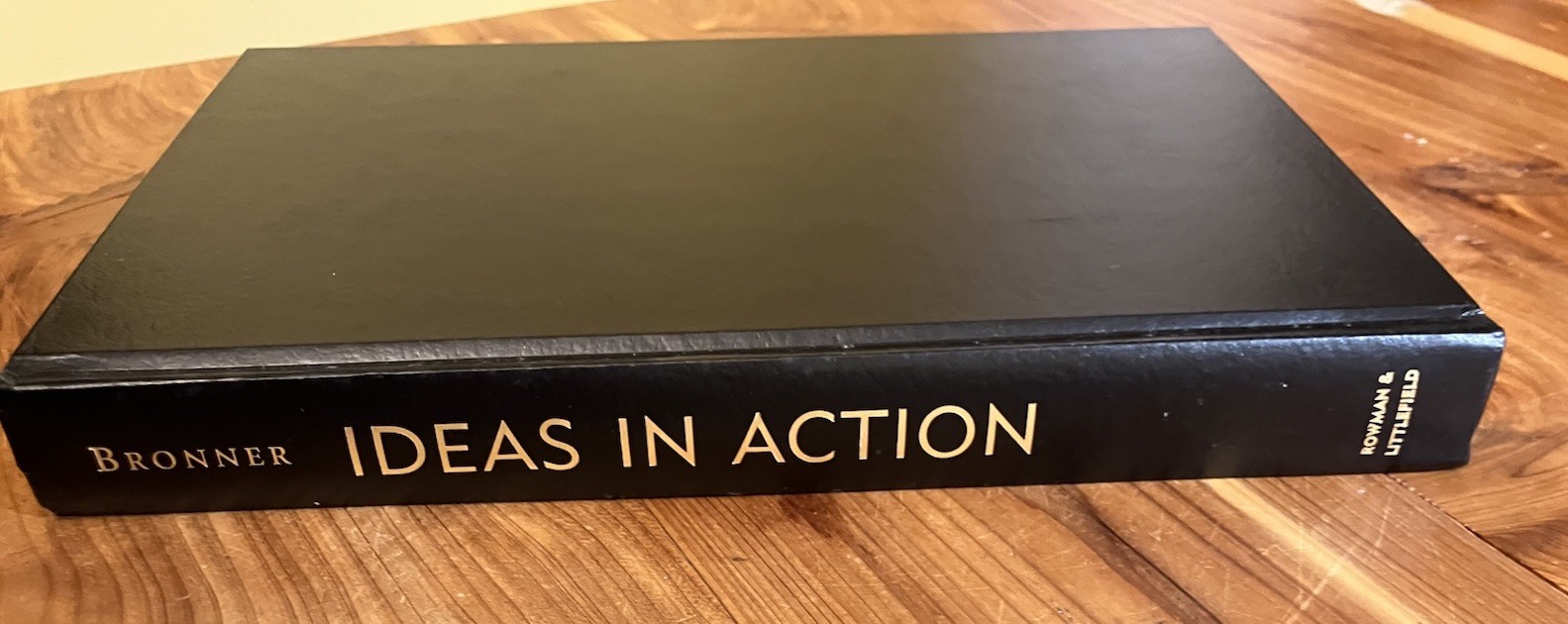 IDEAS IN ACTION: POLITICAL TRADITION IN THE TWENTIETH Stephen Eric Bronner HC A2