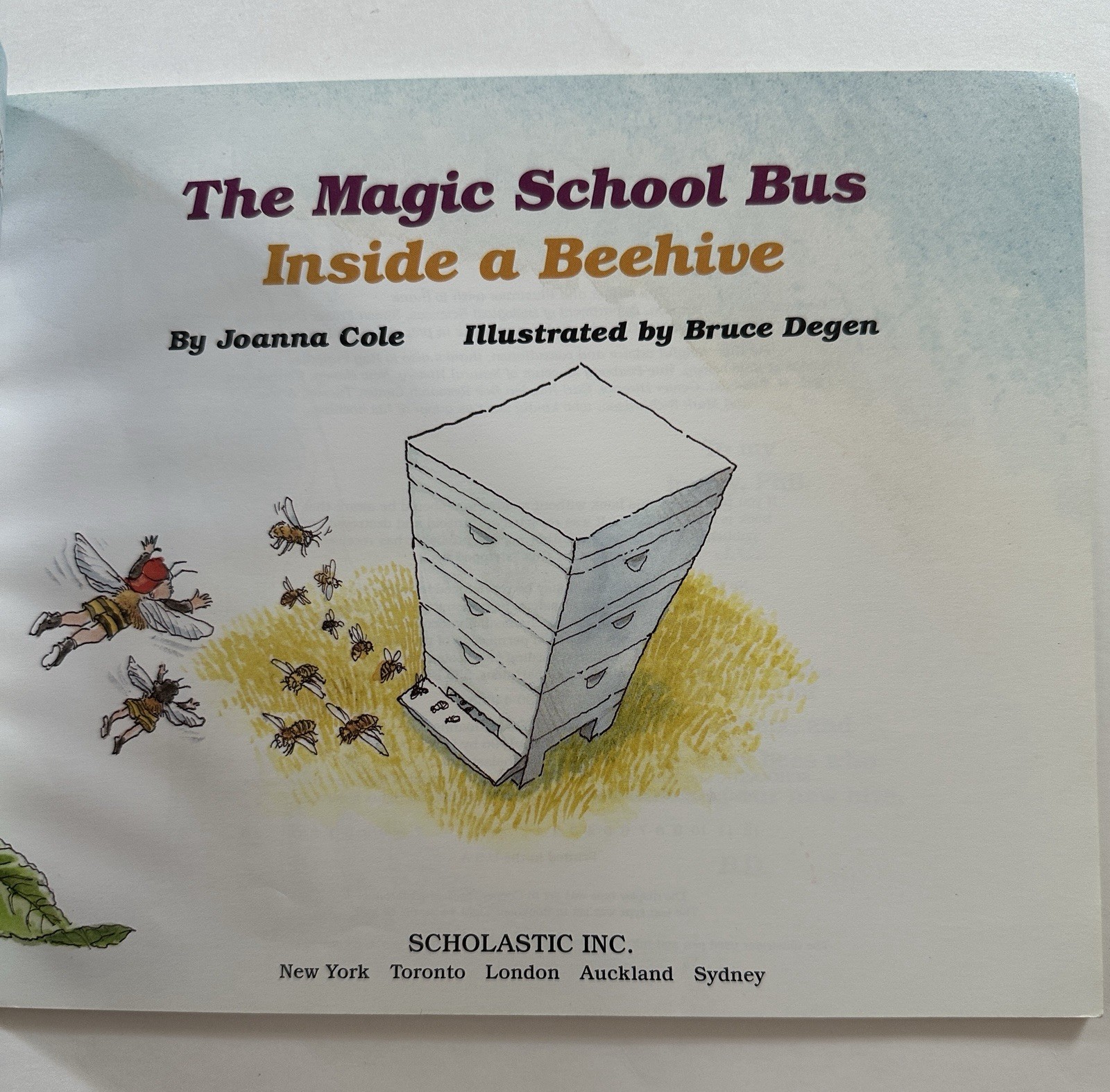 Magic School Bus Mixed Lot of 9 Books Chapter Beginner Science 1990s/2000s