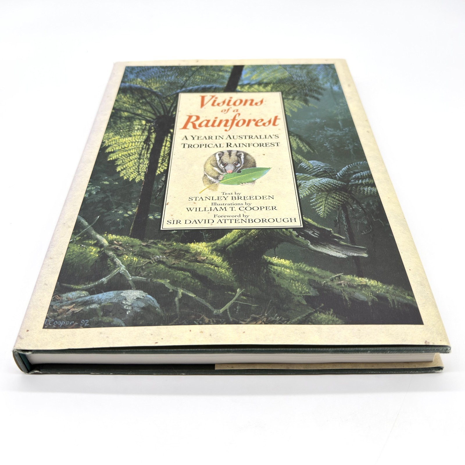 Visions of a Rainforest Breeden and Cooper HC A Year in Australia’s Tropics