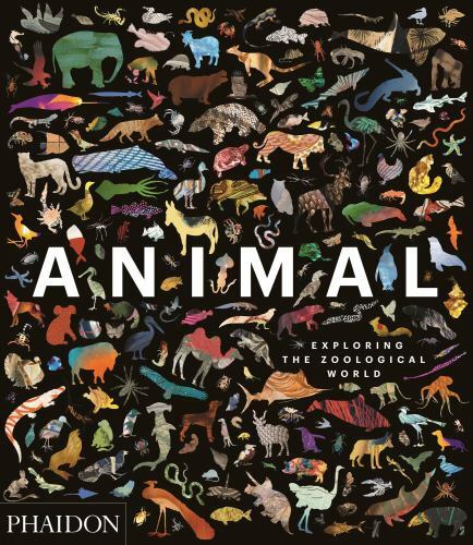 Animal: Exploring the Zoological World by