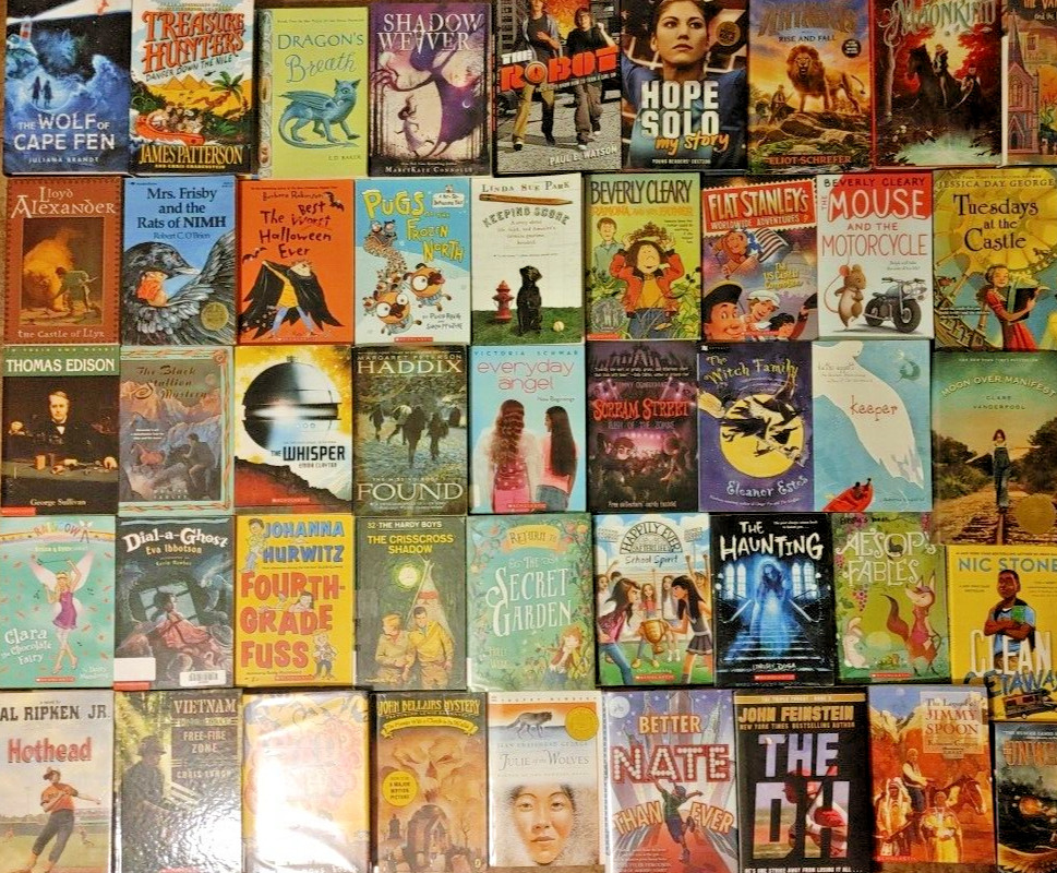 RANDOM Lot of 100 Level 5 ACCELERATED READERS 5th Grade AR 5-5.9 Chapter Books