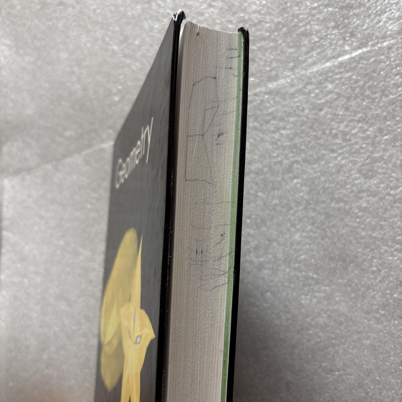 GEOMETRY by ELAYN MARTIN-GAY 2016 Hardcover (missing front endpapers, writing)