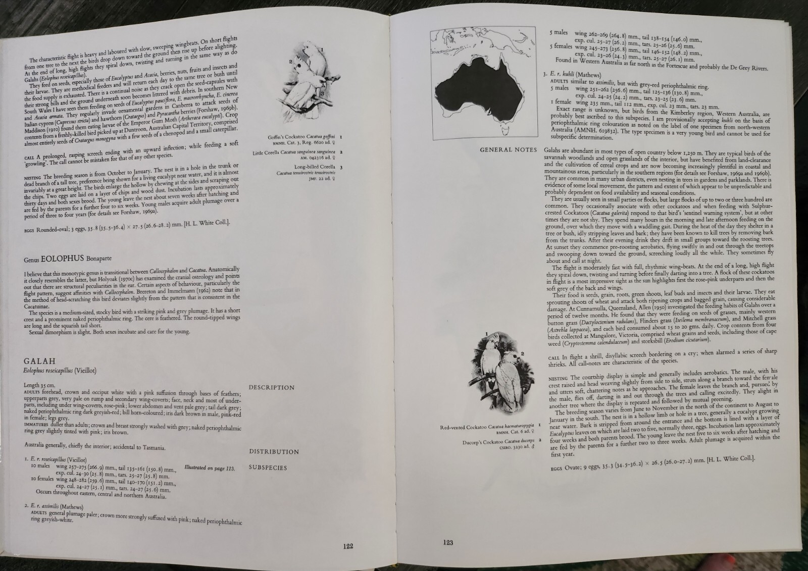 Parrots of the World by Joseph Michael Forshaw; Illus. by William T. Cooper