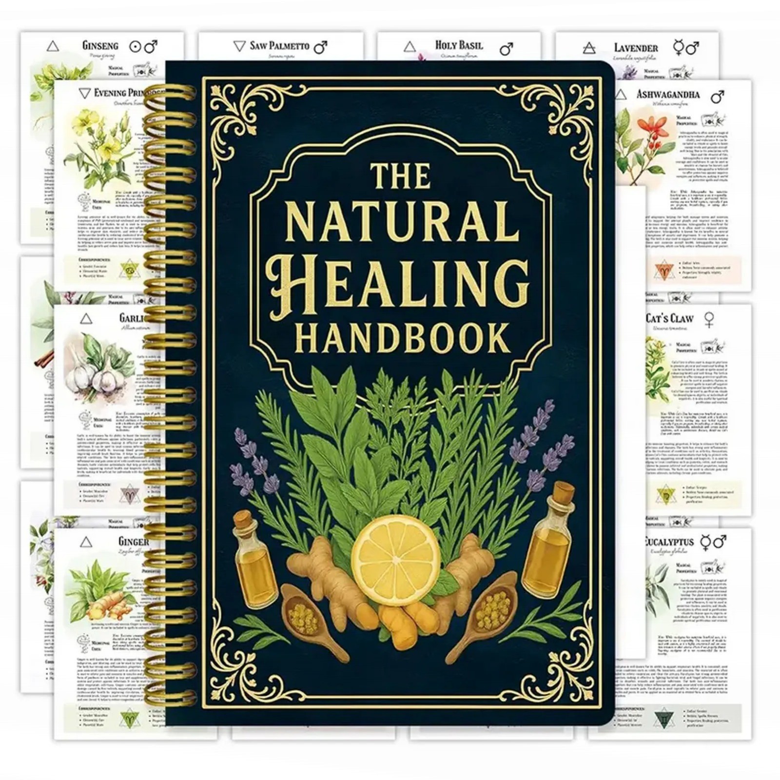 The Holistic Home Apothecary Book: 1000+ Herbal Remedies and Timeless Healing