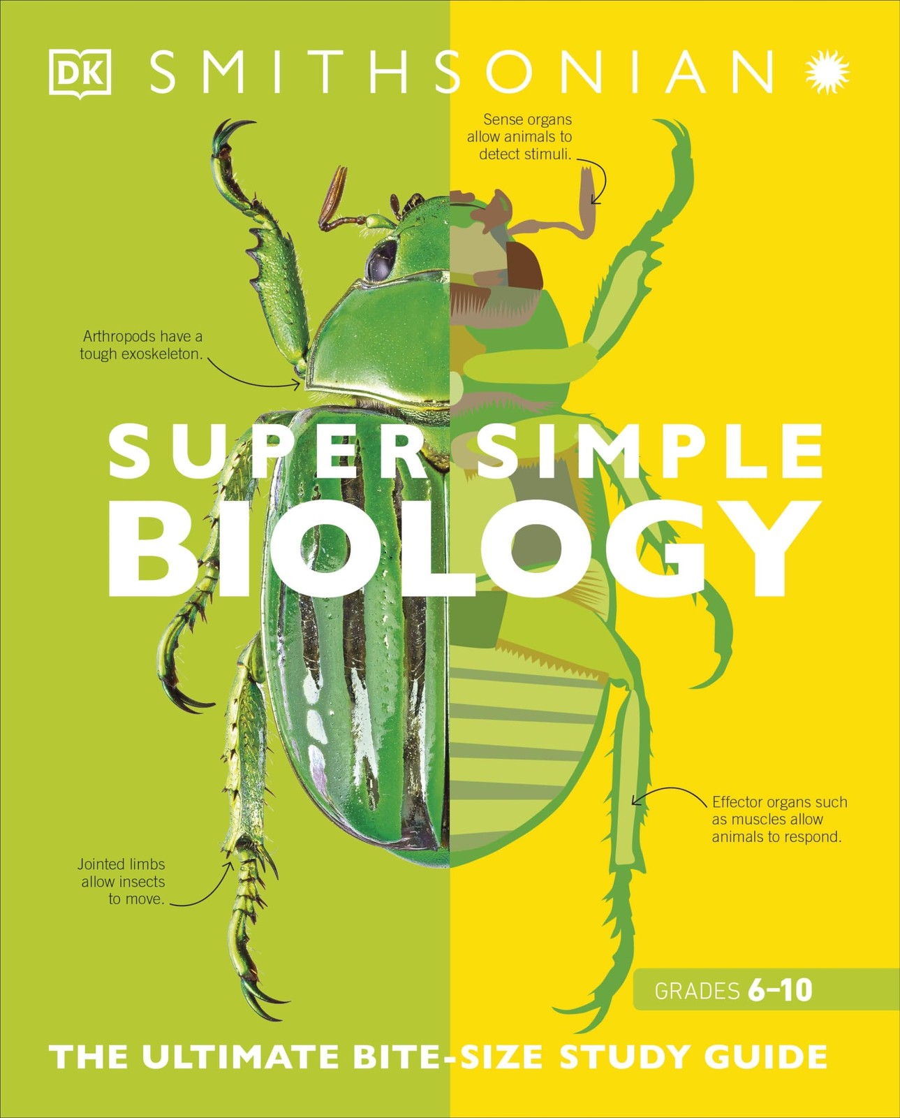 Super Simple Biology: The Ultimate Bitesize Study Guide – paperback DK