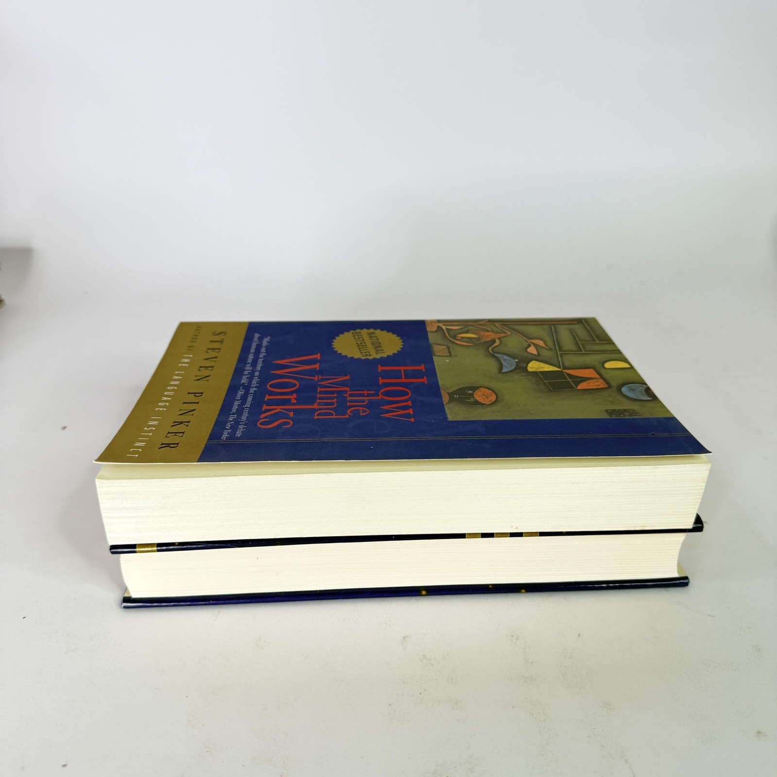 Lot 2 Cognitive Science Books Steven Pinker How The Mind Works Casti HC PB