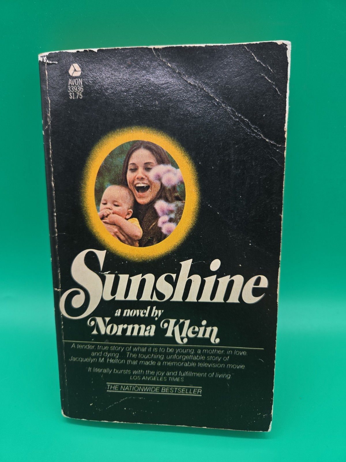 Sunshine 1974 Norma Klein Avon Paperback Vintage Novel
