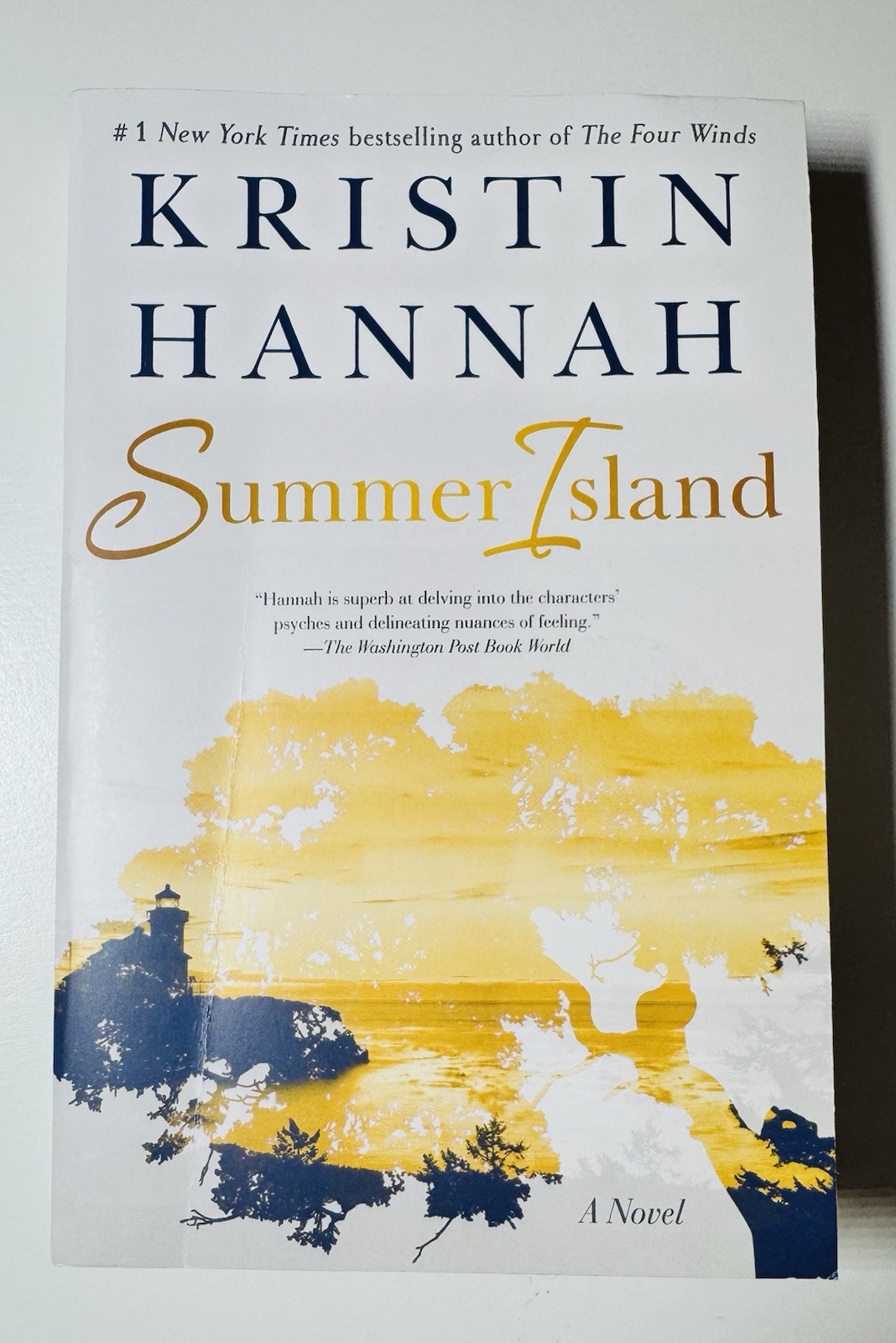 Summer Island: A Novel
