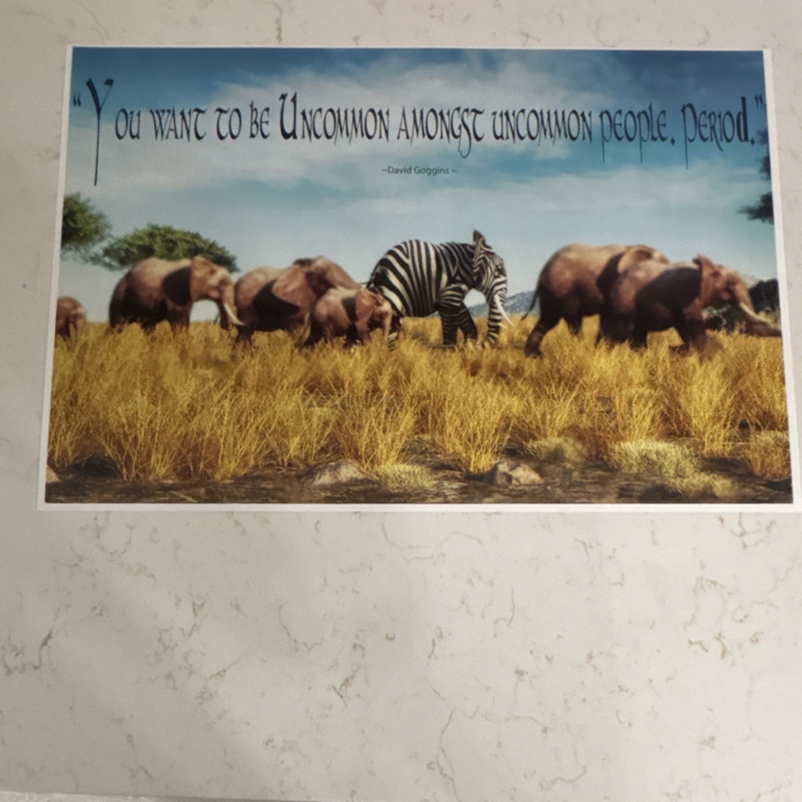 12 x 18 David Goggins Quote Print ‘Uncommon Amongst Uncommon People’