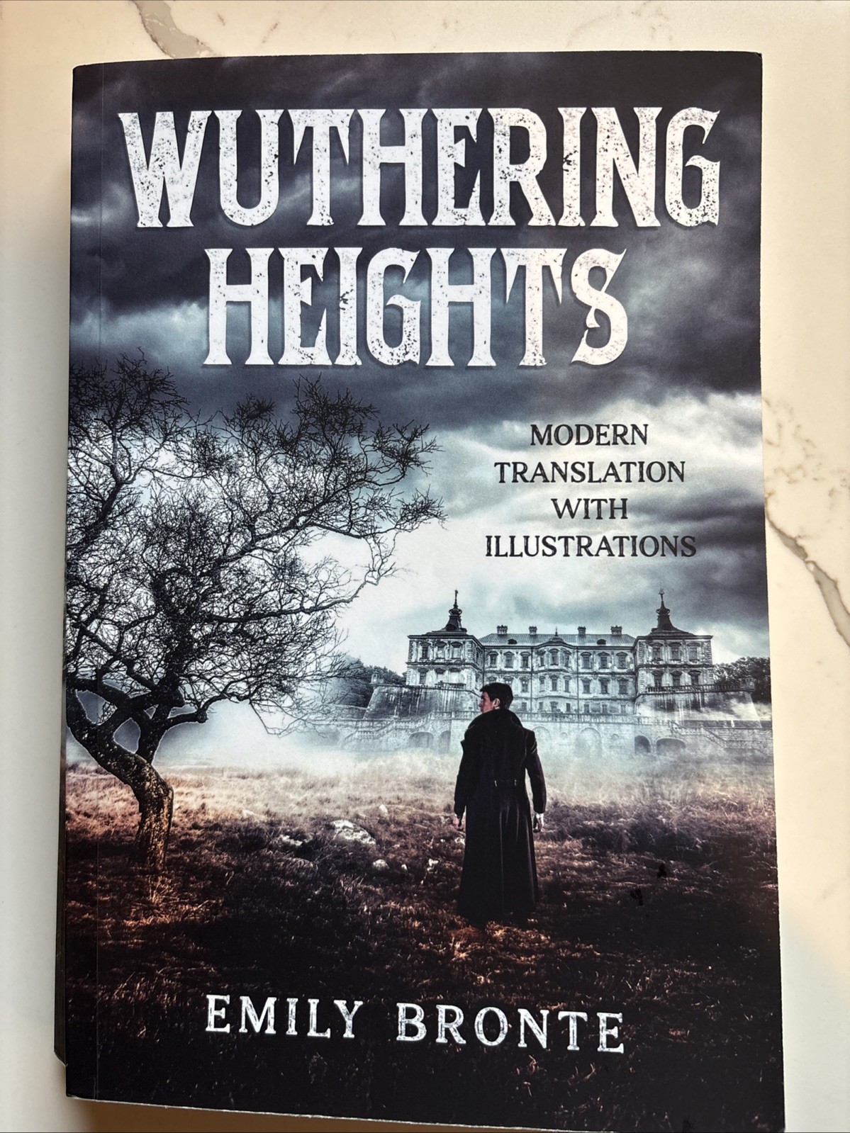 Wuthering Heights (Illustrated and Translated to Modern English) by Emily Bronte