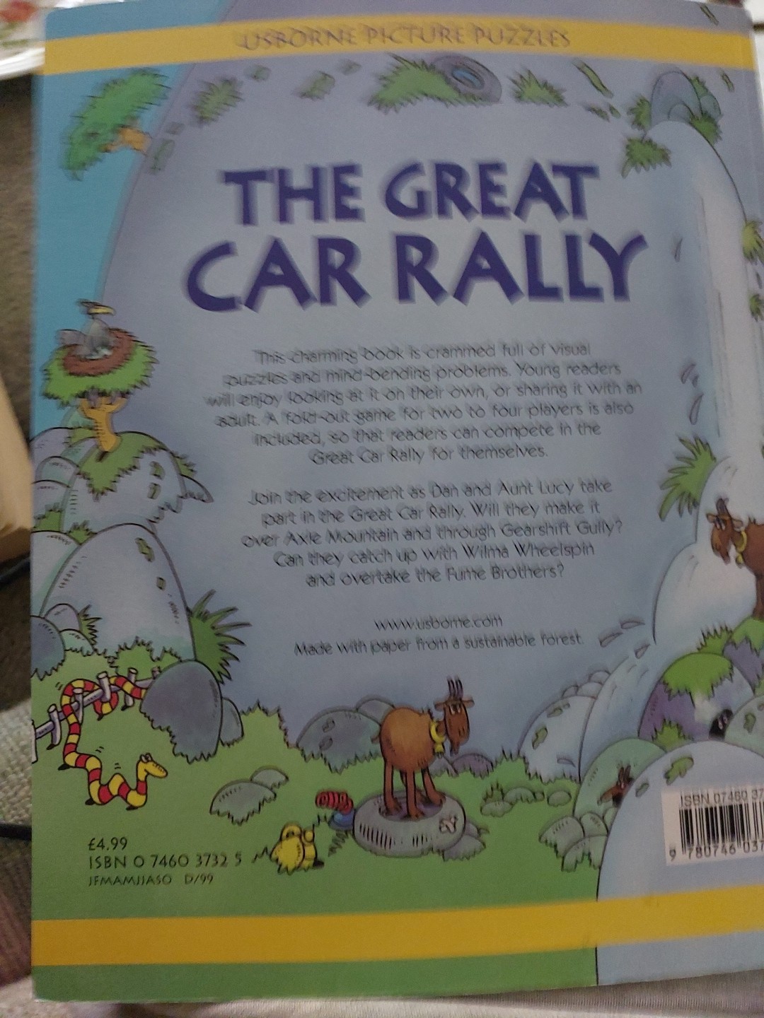 The Great Car Rally Usborne Picture Puzzles By Rosie Heywood Paperback