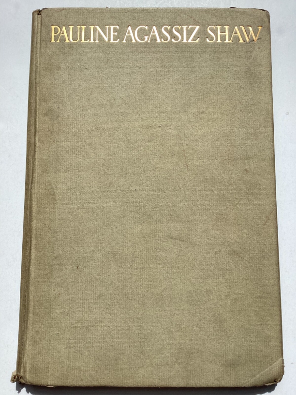 Original 1917 Pauline Agassiz Shaw Boston MA education philanthropy suffrage