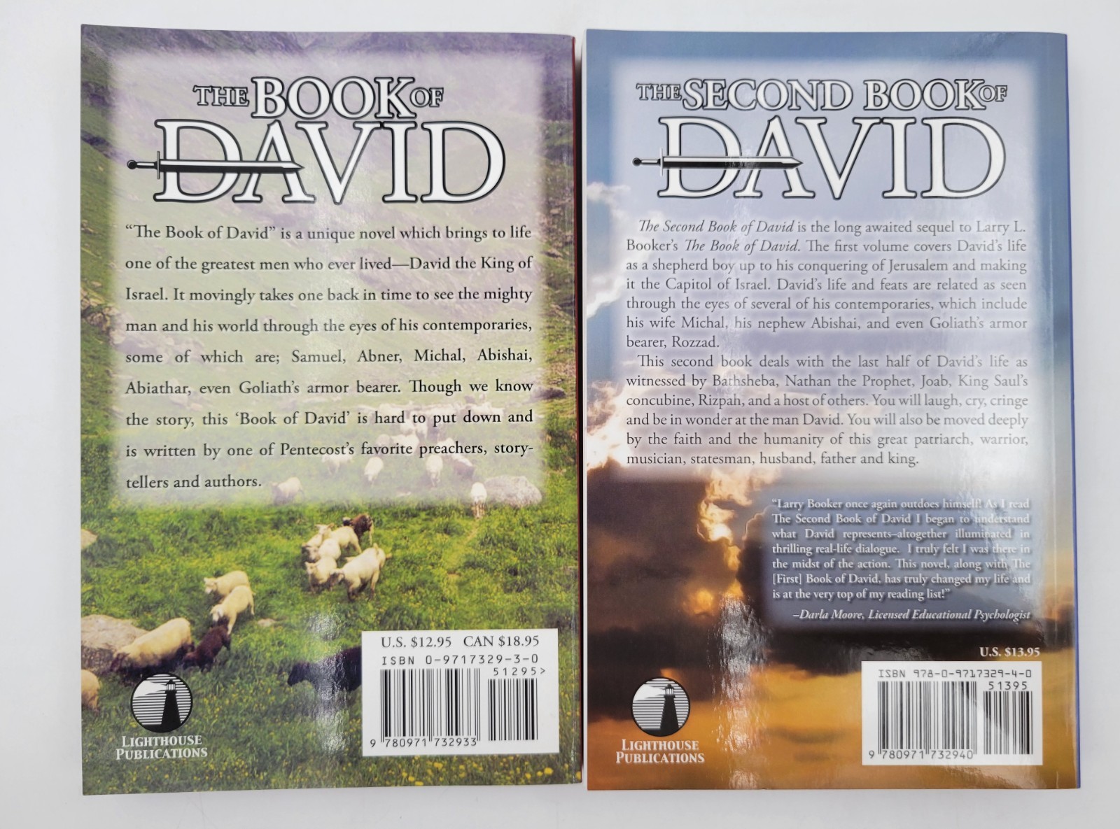 The Book & Second Book Of David 2 Paperback Lot Larry L. Booker Volumes 1 & 2 VG