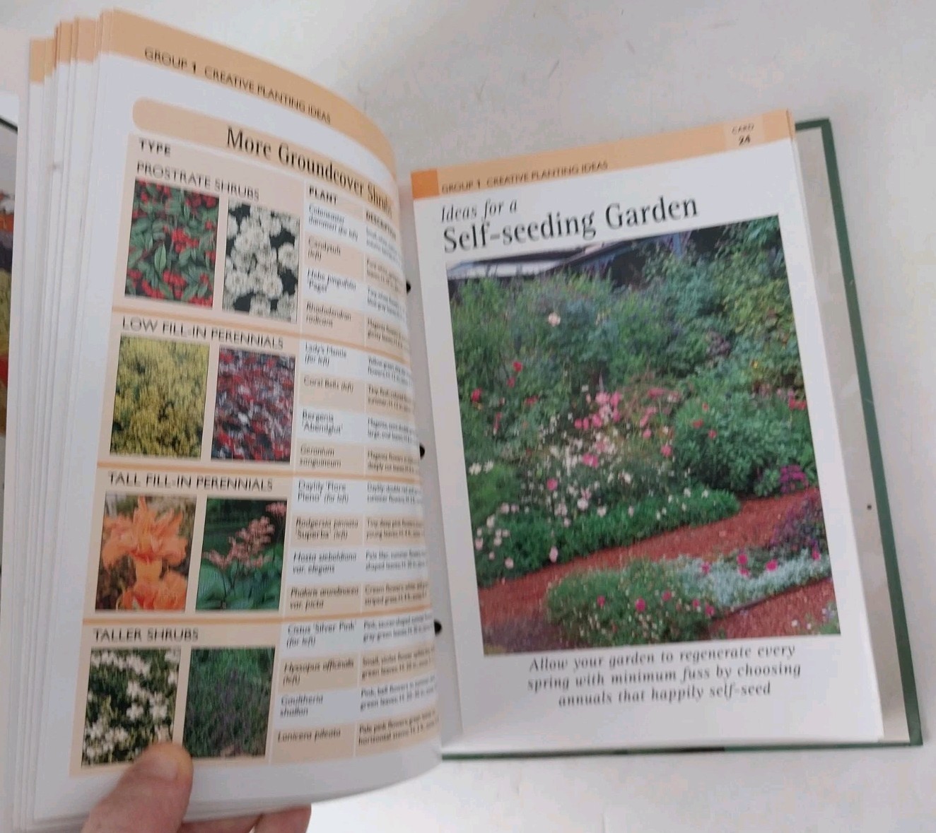 Gardening Made Easy Parts 1-12 in 6 HC Binders, International Masters Publishers