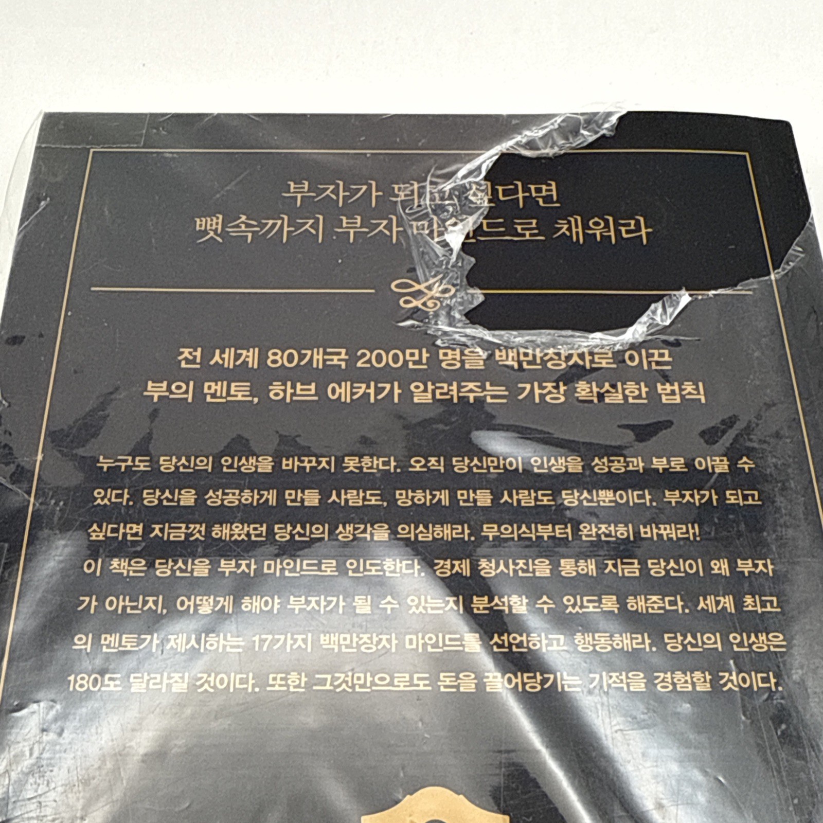 Secrets Of The Millionaire Mind Korean 백만장자 시크릿