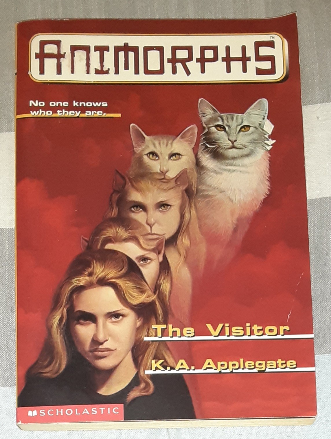 Animorphs Book Lot of 21 (K.A. Applegate, Paperback)