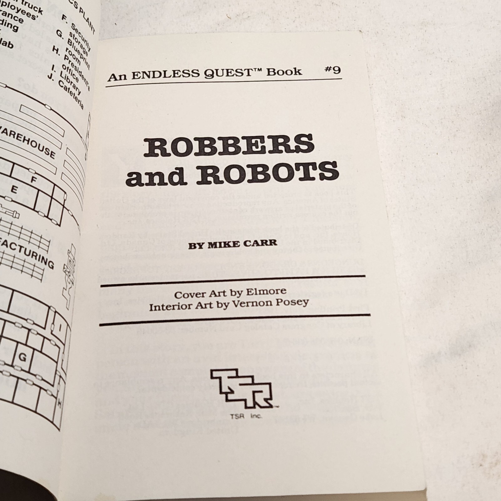 TSR Robbers and Robots Mike Carr Vintage 1983 Dungeons & Dragons 1st Printing