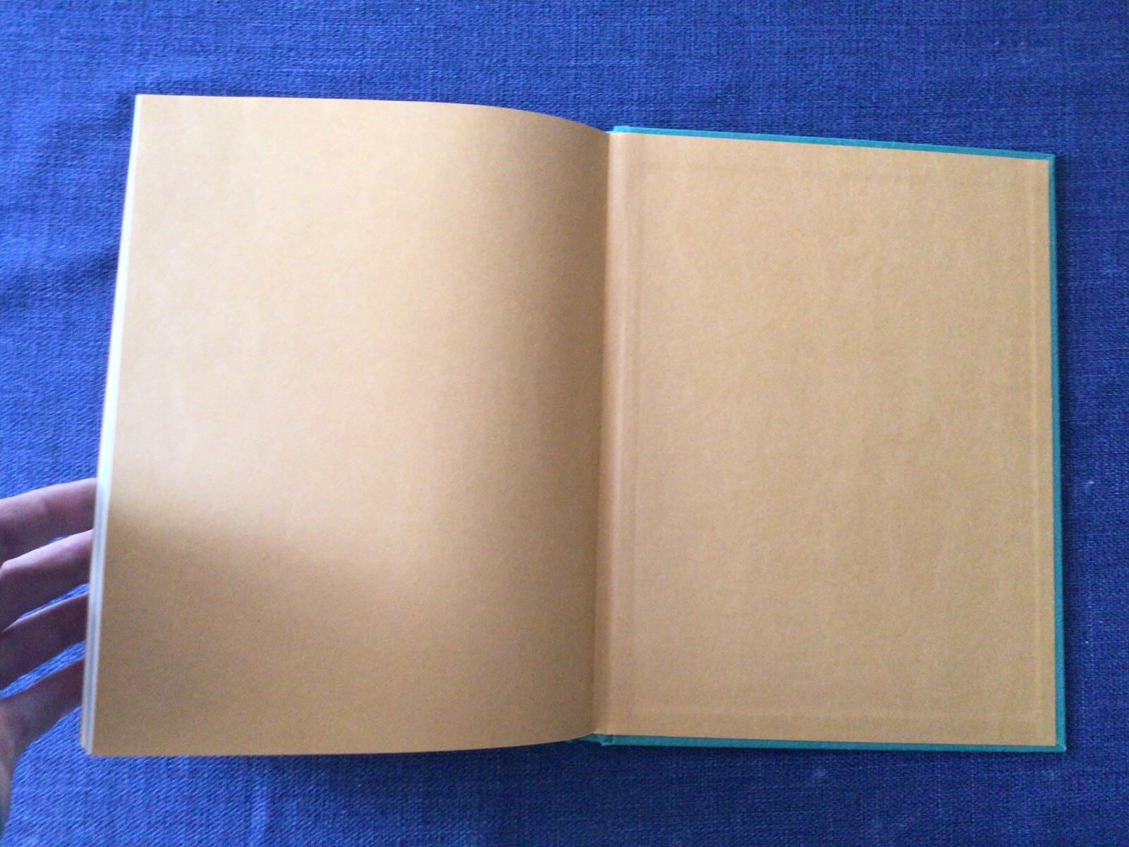 Oz, The Hundreth Anniversary Celebration – 50/300 Signed By 31 Sendak, L’Engle