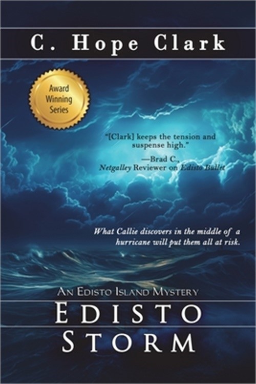 Edisto Storm: Book 12 in the Edisto Island Mysteries (Paperback or Softback)