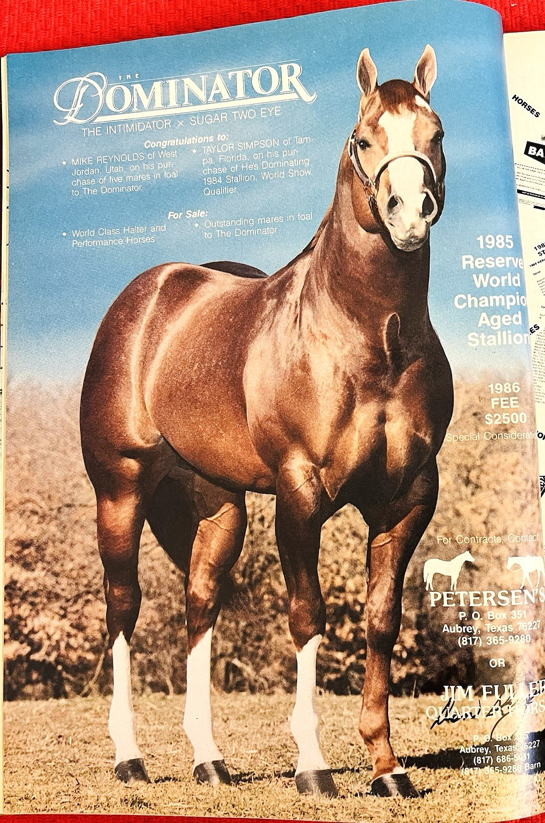 SALE ENDS 6/15! 1986 QUARTER HORSE JOURNAL Book – DYNAMIC DELUXE, ZAN PARR BAR