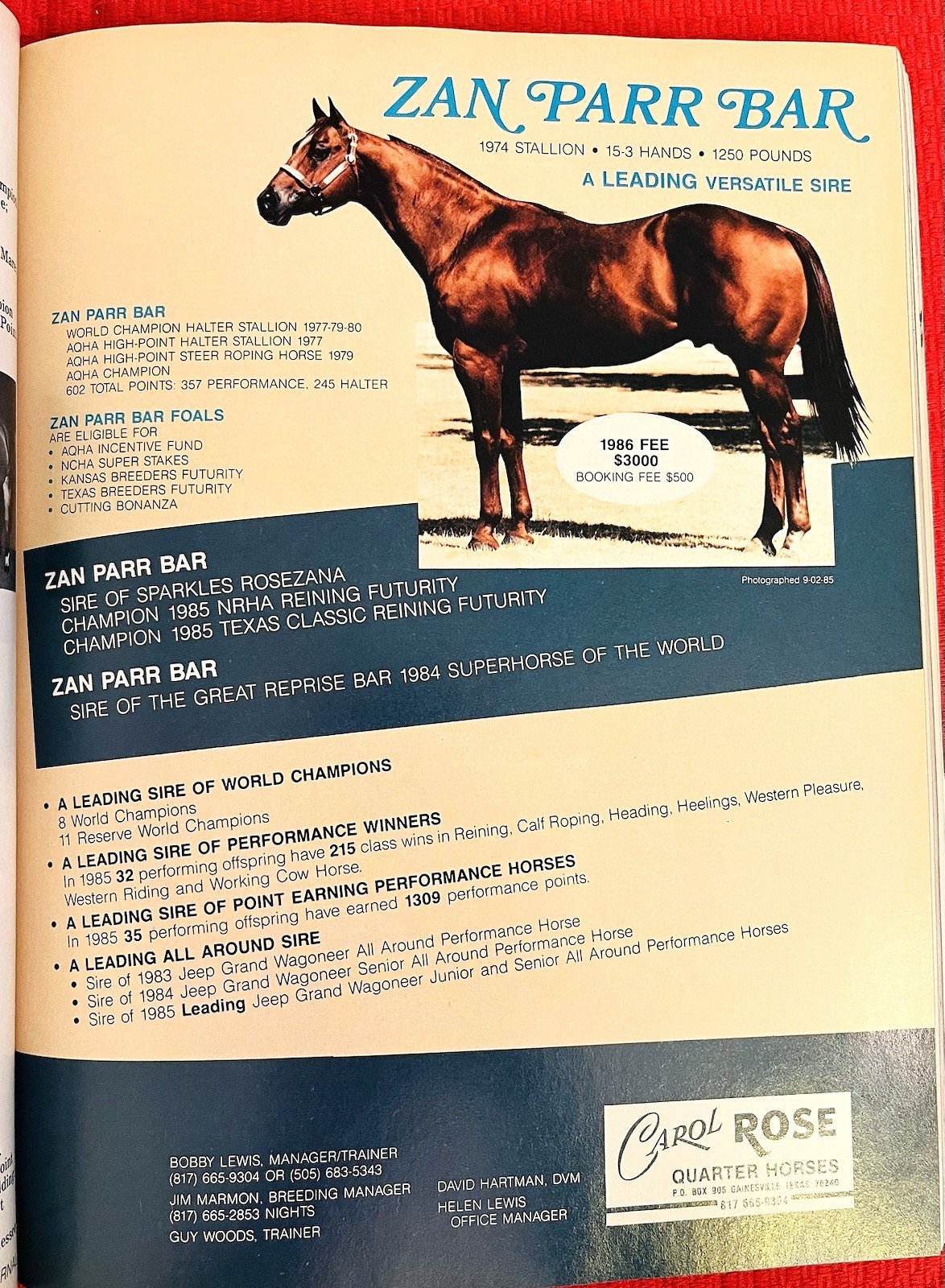 SALE ENDS 6/15! 1986 QUARTER HORSE JOURNAL Book – DYNAMIC DELUXE, ZAN PARR BAR