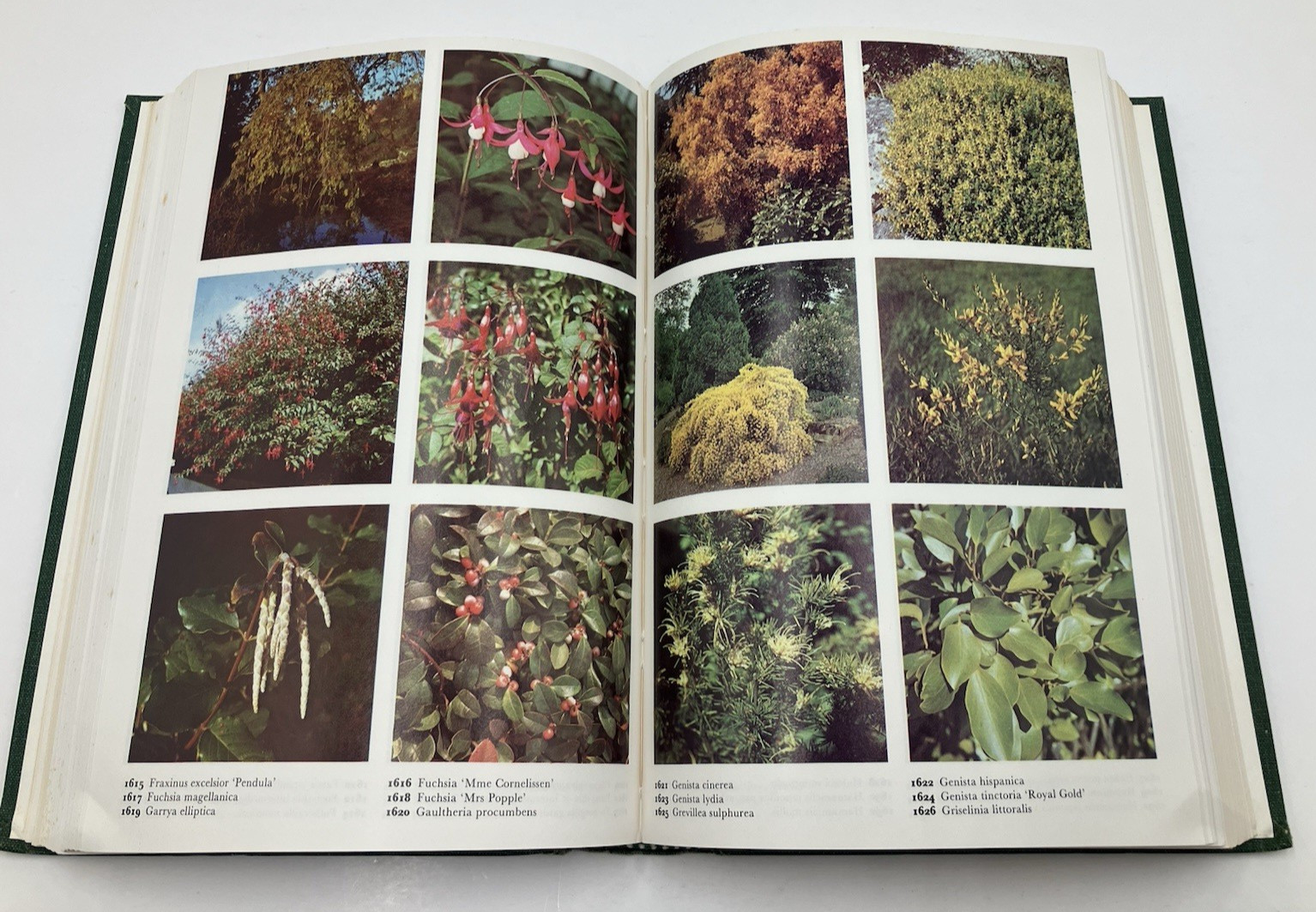The Color Dictionary of Flowers and Plants for Home and Garden Vintage Gardening