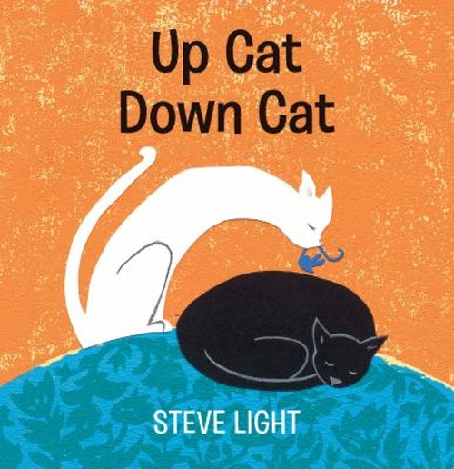 Up Cat Down Cat Board Books Steve Light