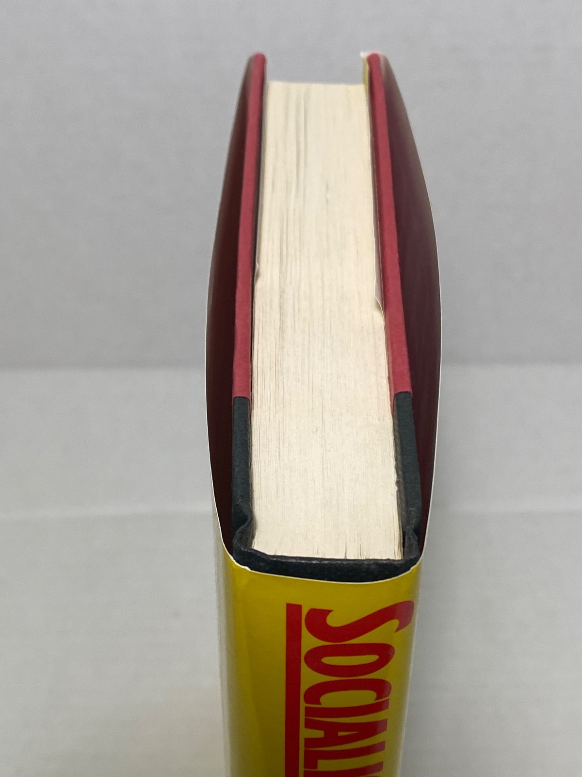 Socialism: Past and Future by Michael Harrington FIRST ED/FIRST PRT 1989 HJ/DJ