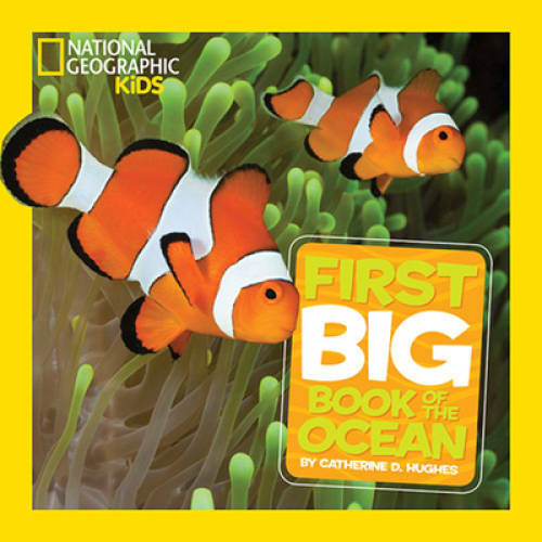 National Geographic Little Kids First Big Book of the Ocean (Nationa – VERY GOOD