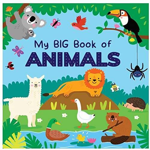 My Big Book of Animals – Board book By Page Publications – VERY GOOD