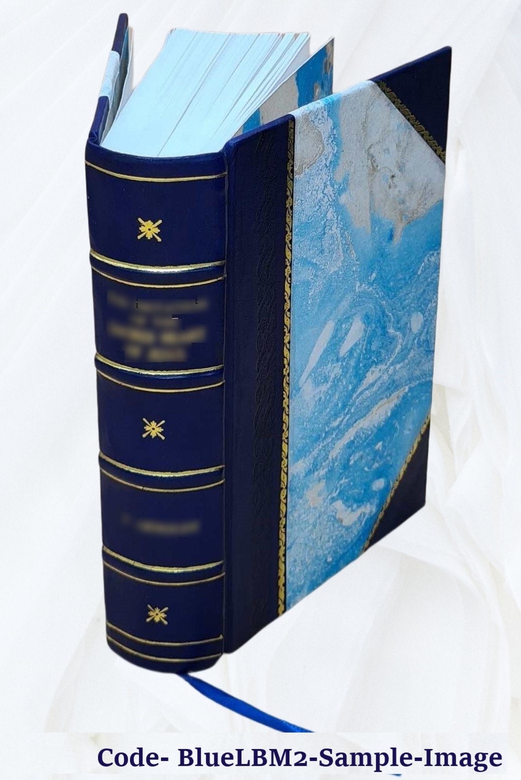 The Cave Temples Of India 1880 By James Fergusson, James Burgess [Leather Bound]