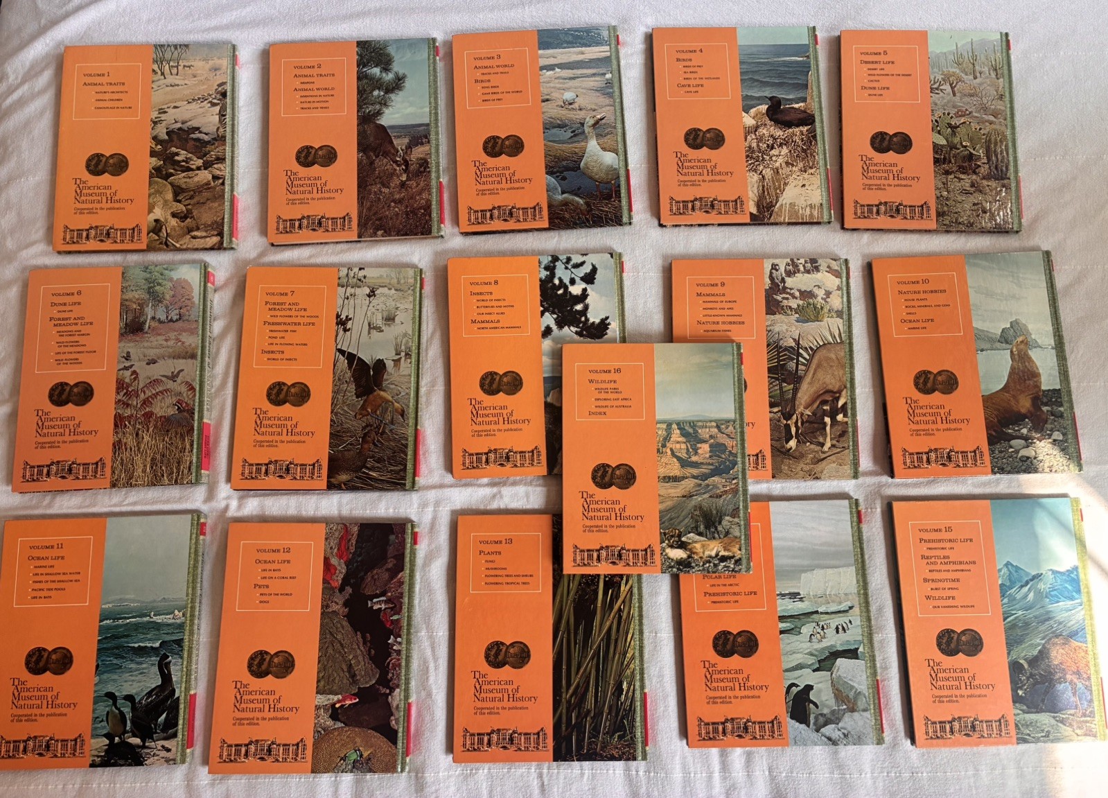 RARE Vintage Set Illustrated Library of Nature American Museum Natural History