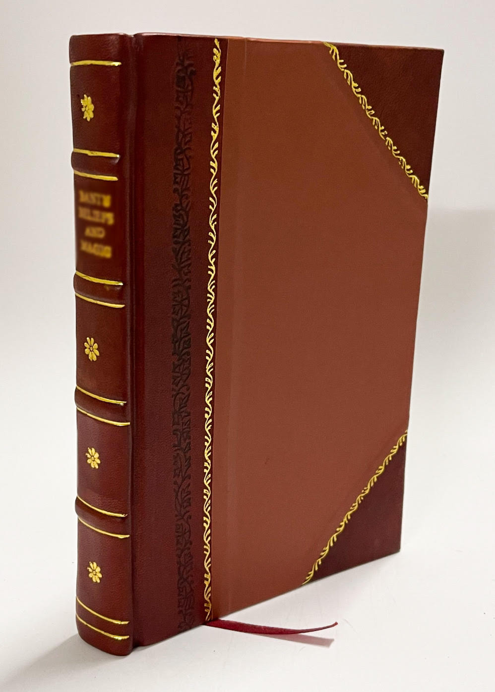 The Ivory Raiders, by H. Rayne. by Henry A Rayne [Leather Bound]