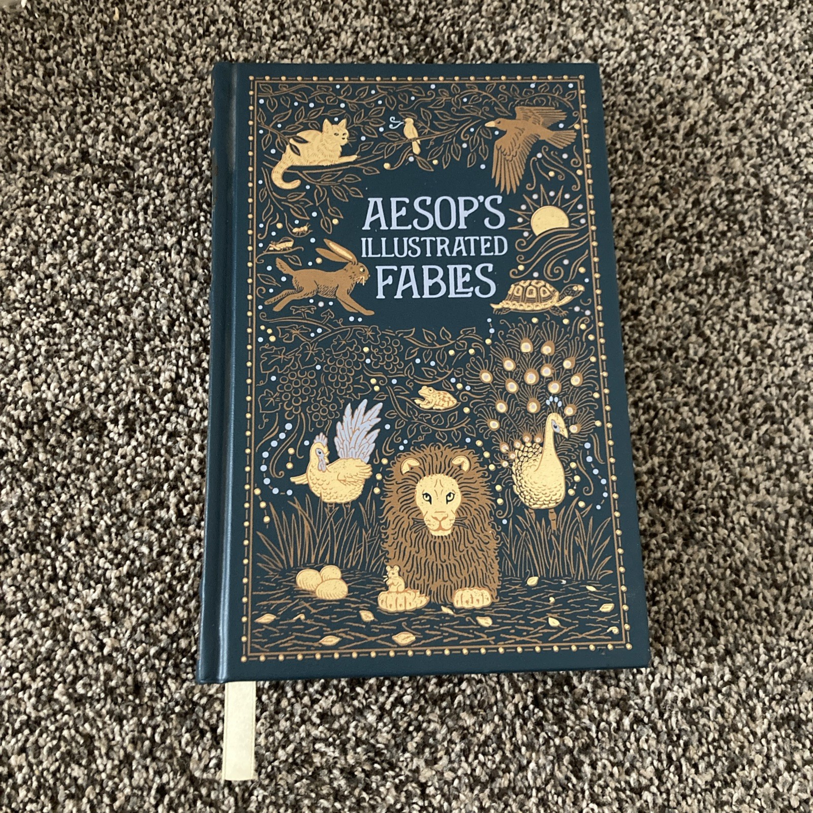 Aesop’s Illustrated Fables Barnes And Noble Leather Hardcover Collectors Edition