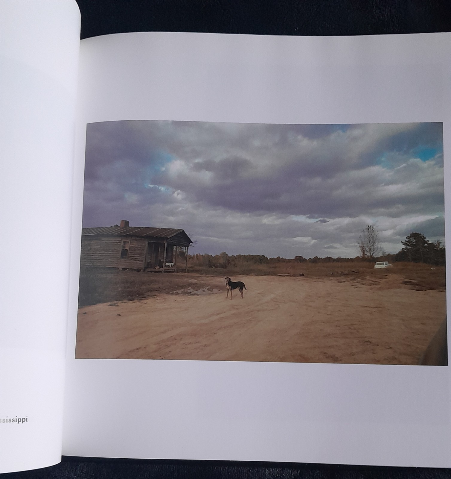 WILLIAM EGGLESTON’s GUIDE 2ND EDITION MOMA 2002